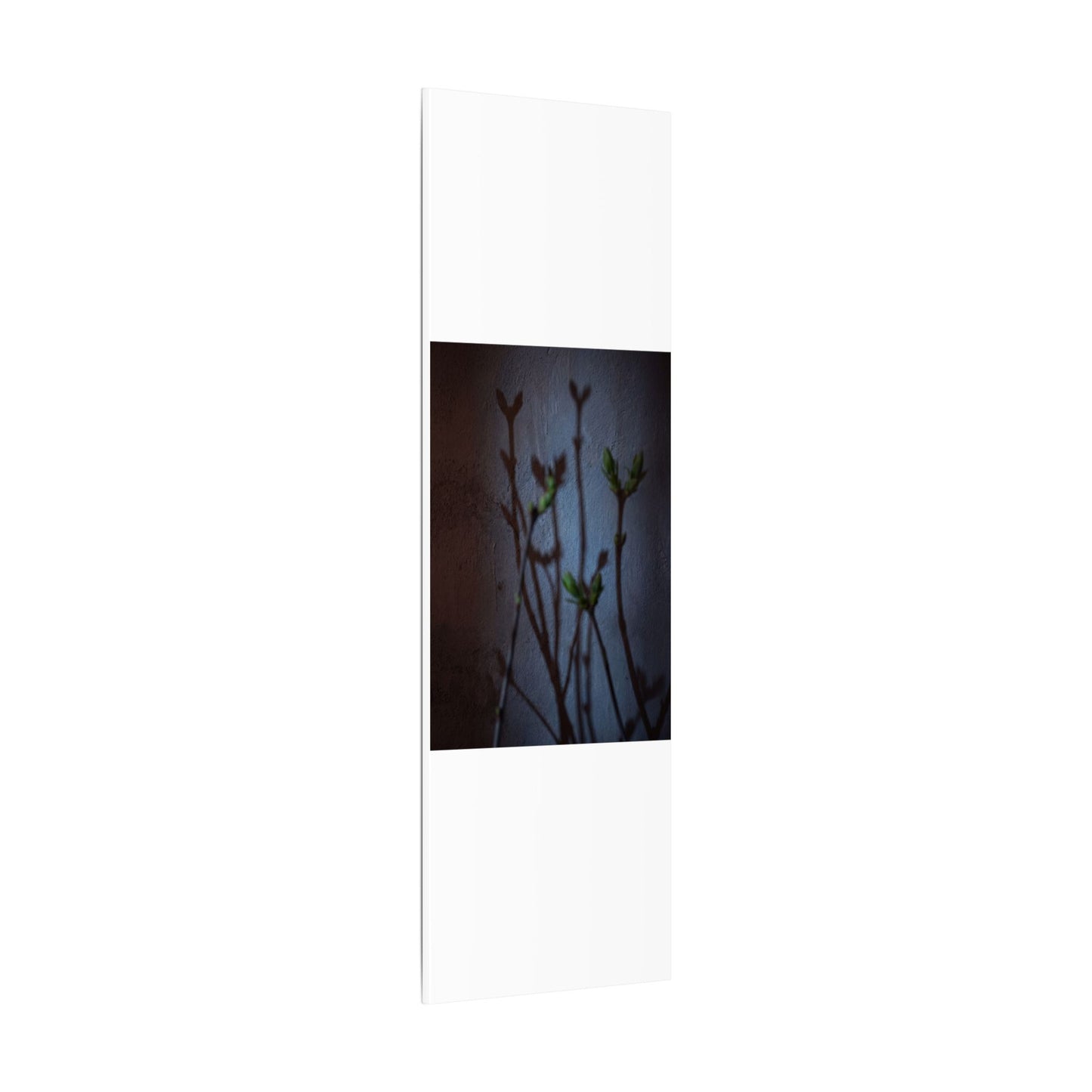 Shadow Play Spring Canvas Art | Dark Japandi Sophisticated Design