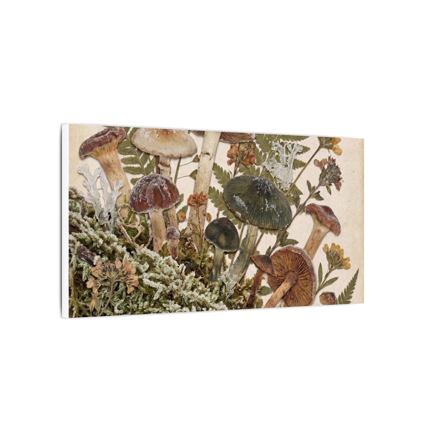 Winter Wild Mushrooms Herbarium Canvas Art | Enchanting Decor