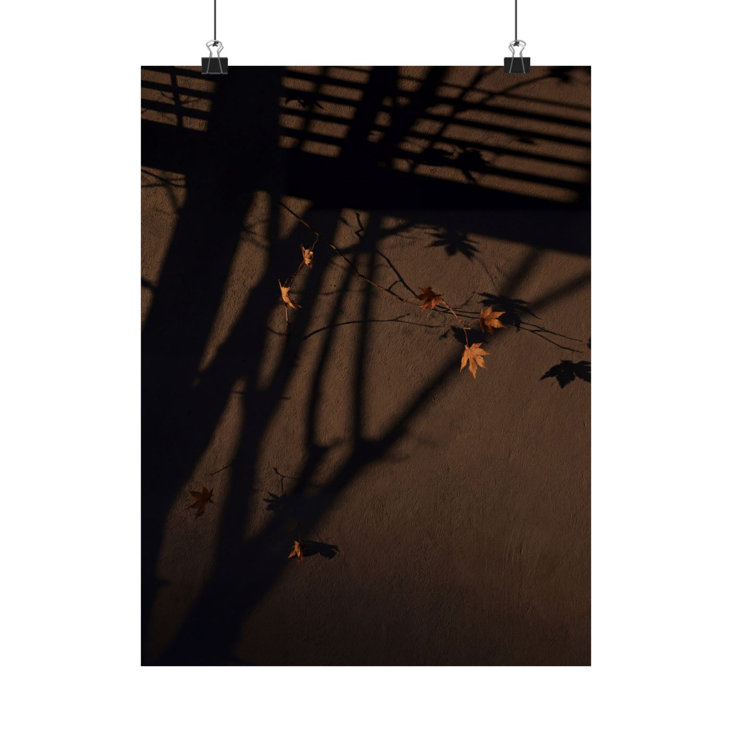 Autumn Shadow Play Shadow Zen Wall Art Print | Sophisticated Decor Art Print