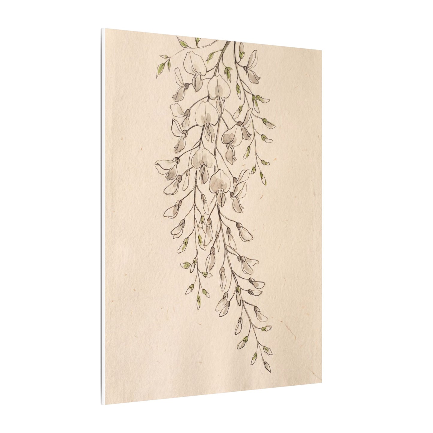 Japandi Wisteria in Golden Hour | Minimal Line Canvas Art