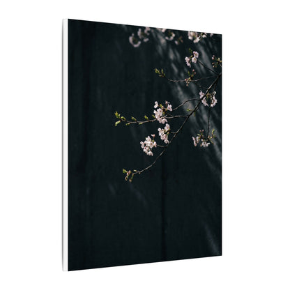 Cherry Blossom Spring Canvas Art | Dark Japandi Sophisticated Design