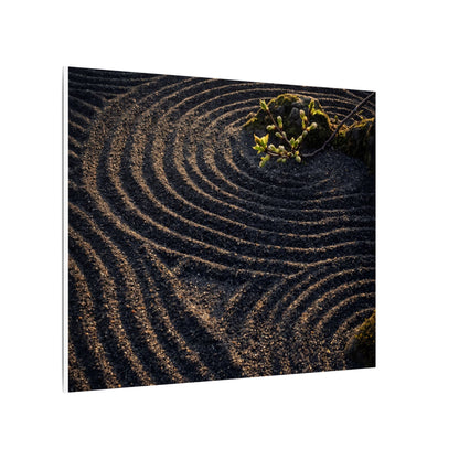 Spring Rock Garden Shadow Zen Canvas Art | Atmospheric Decor