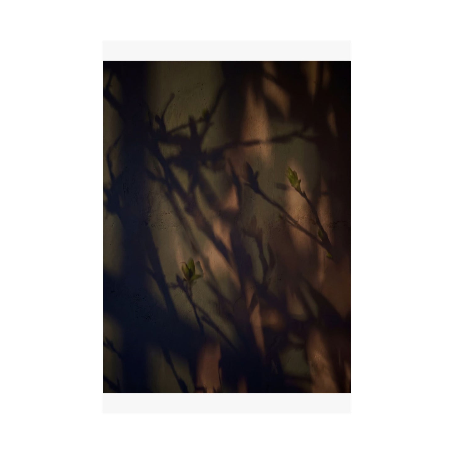 Shadow Play Spring Wall Art Print | Dark Japandi Sophisticated Design