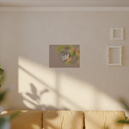 Ceramic Bowl Canvas Art | Spring Japandi Japanese Pattern Art