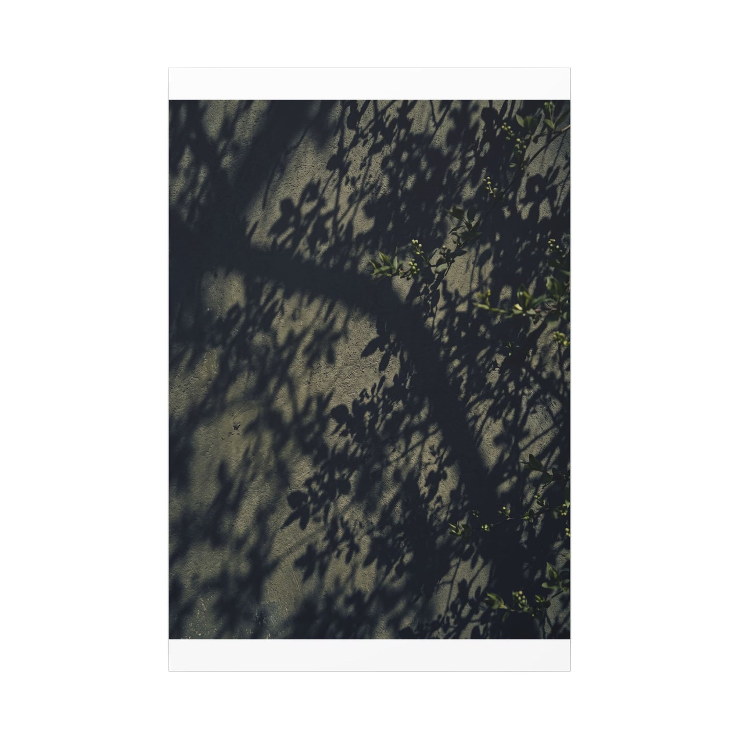 Atmospheric Shadow Play Canvas Art - Moody Minimal Dark Japandi