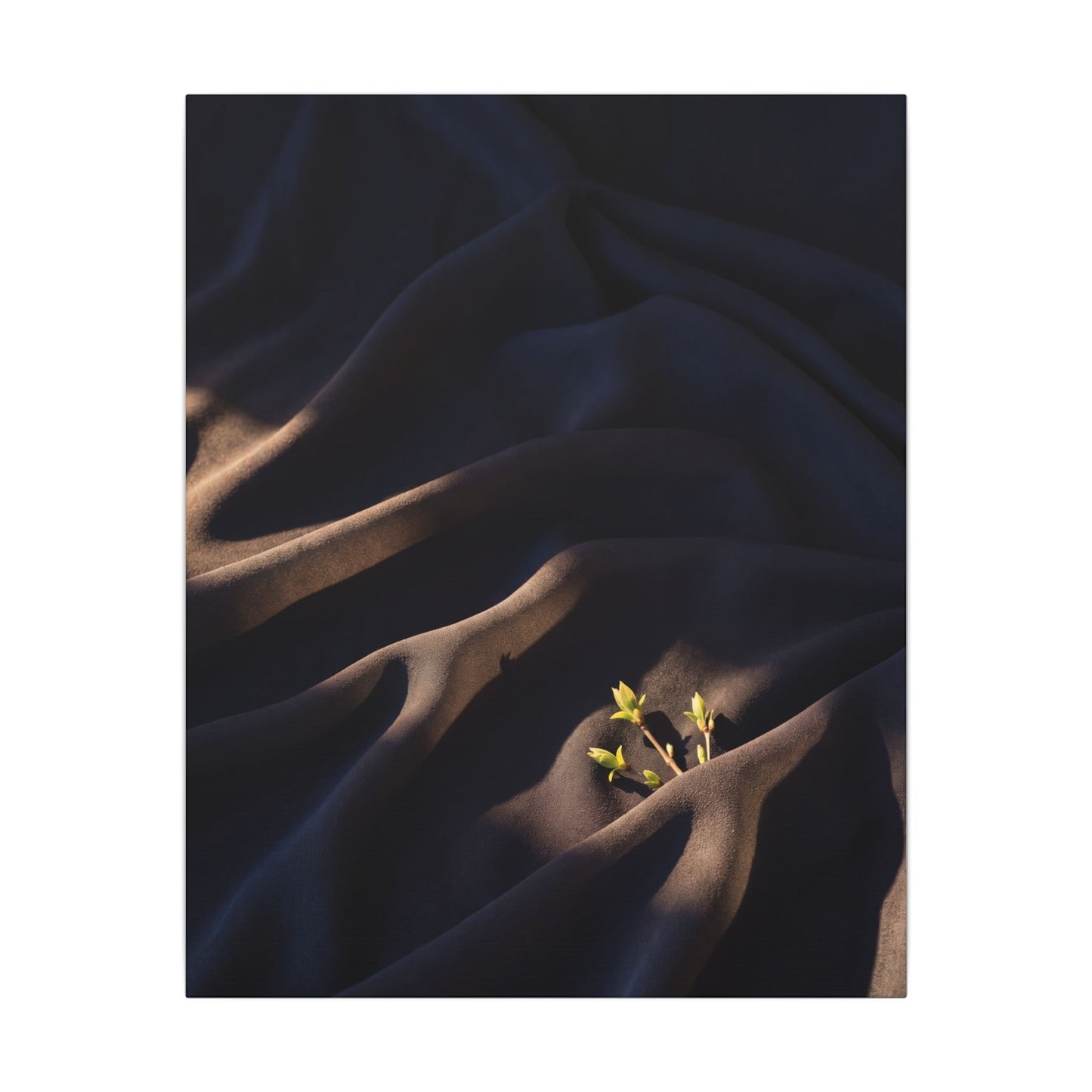 Silk Drape Shadow Zen Canvas Art | Luxurious Dark Japandi Art