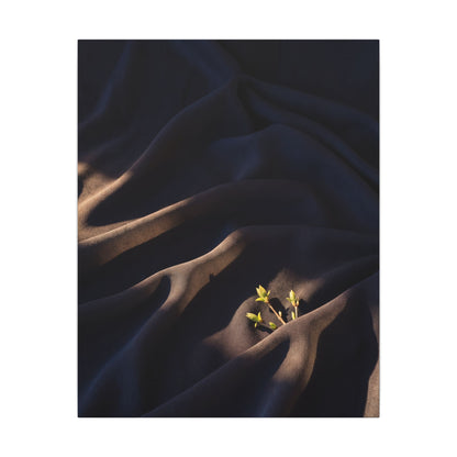 Silk Drape Shadow Zen Canvas Art | Luxurious Dark Japandi Art