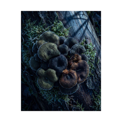 Moonlight Wild Mushrooms Wall Art Print - Dark Japandi Shibui