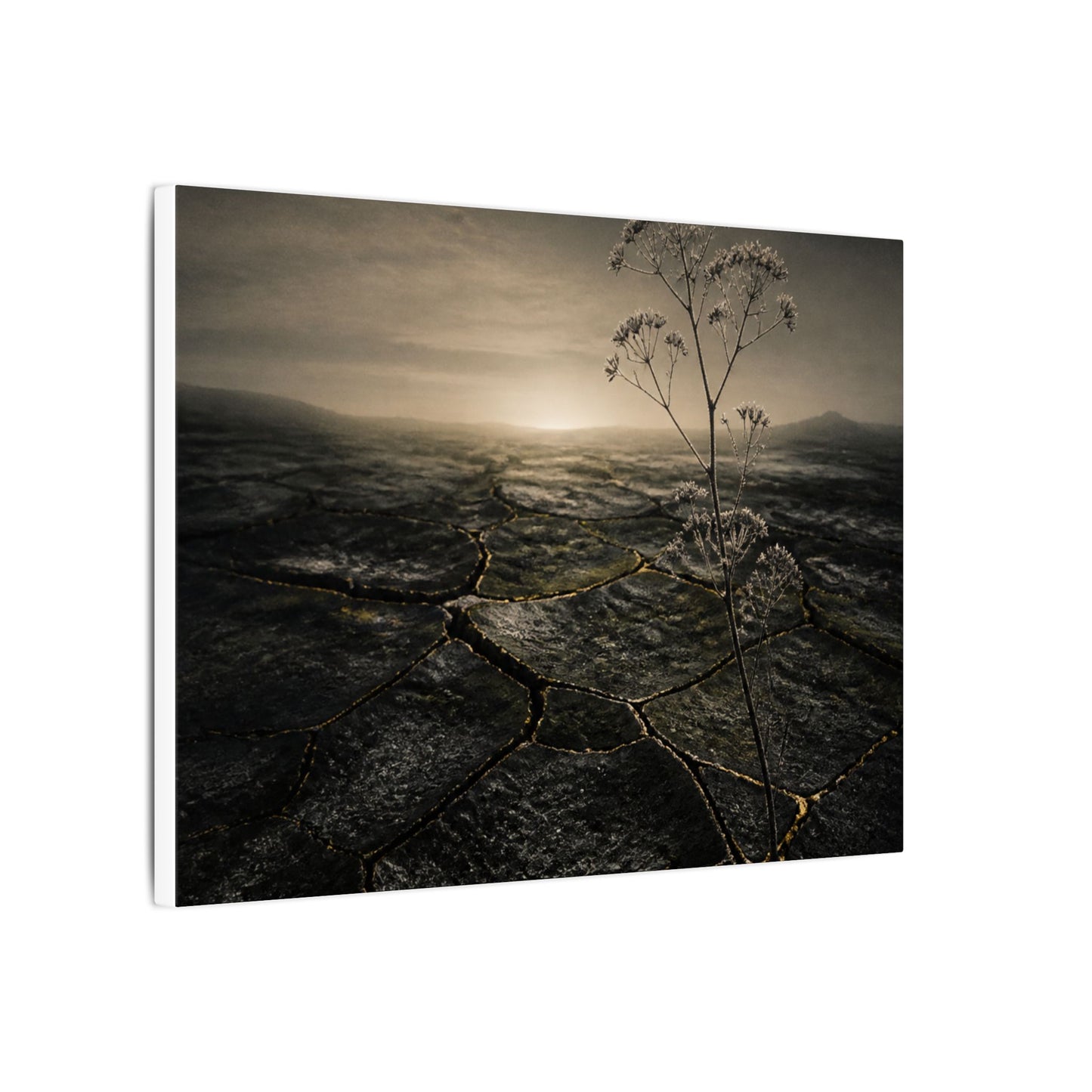 Dawn Cracked Earth Canvas Art - Dark Japandi Mono No Aware