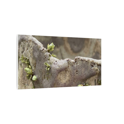 Overcast Ceramic Bowl Canvas Art - Japandi Fukinsei