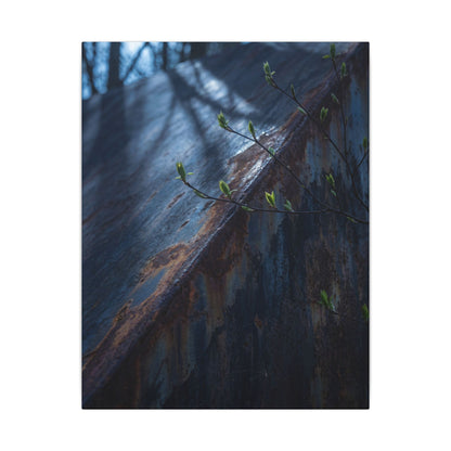 Rust Patina Canvas Art | Spring Dark Japandi Shadow Zen Art
