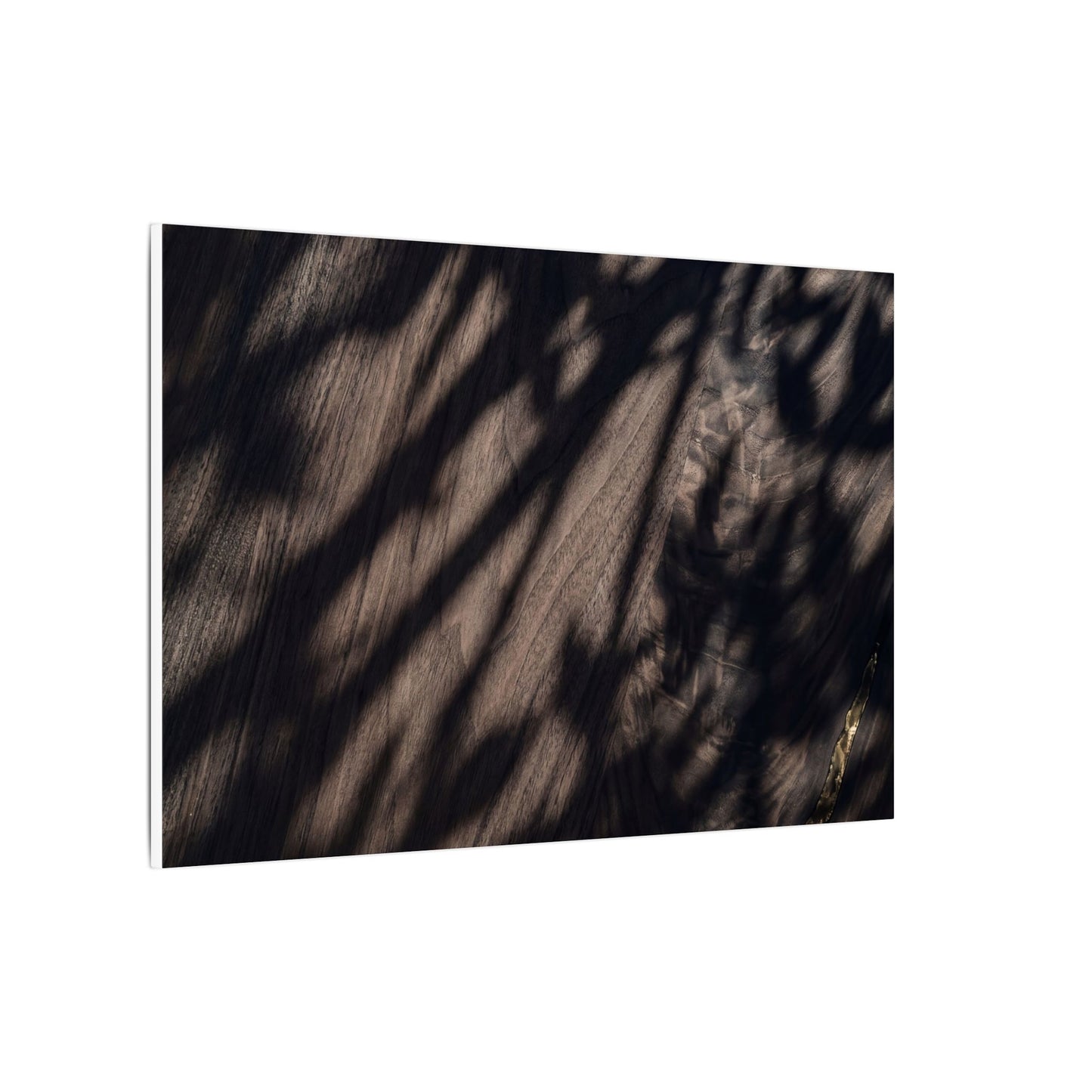 Shadow Play Summer Canvas Art | Dark Japandi Moody Design