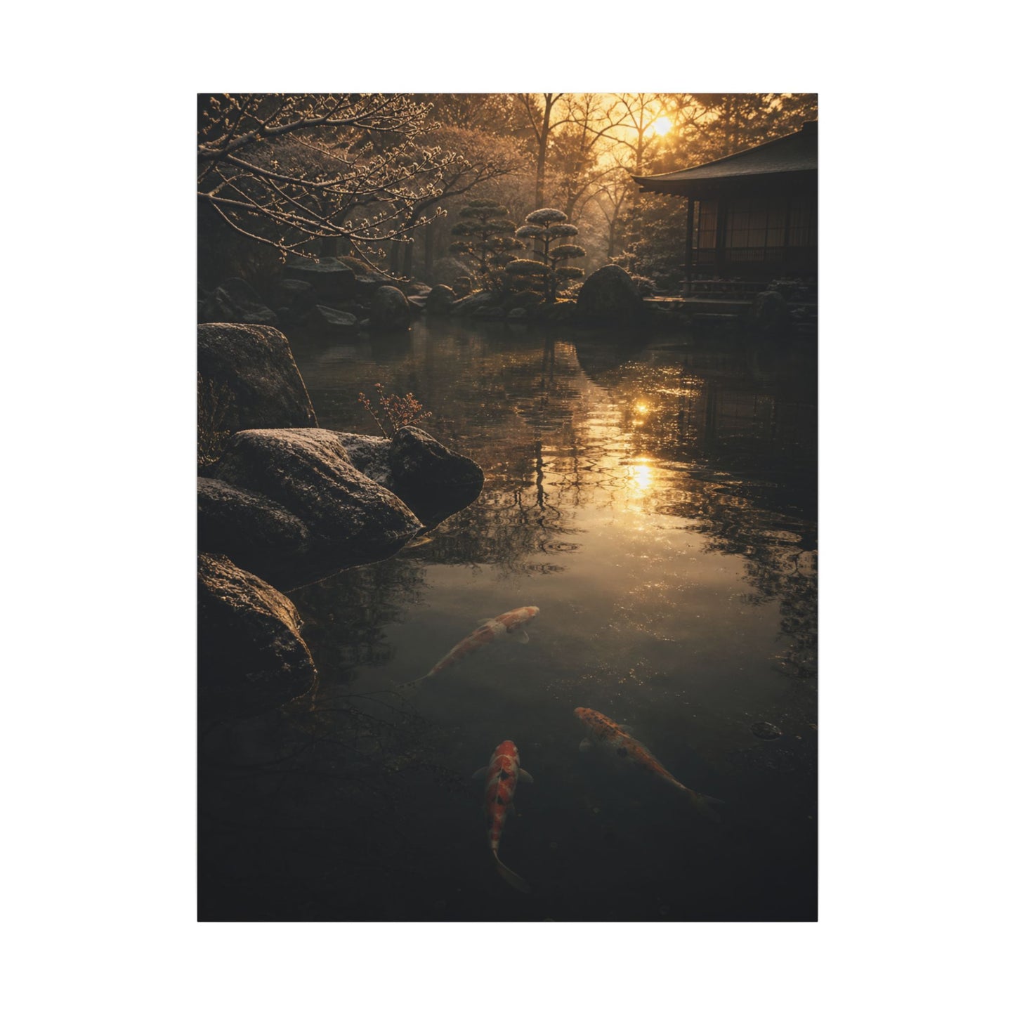 Winter Koi Pond Shadow Zen Canvas Art | Bold Decor