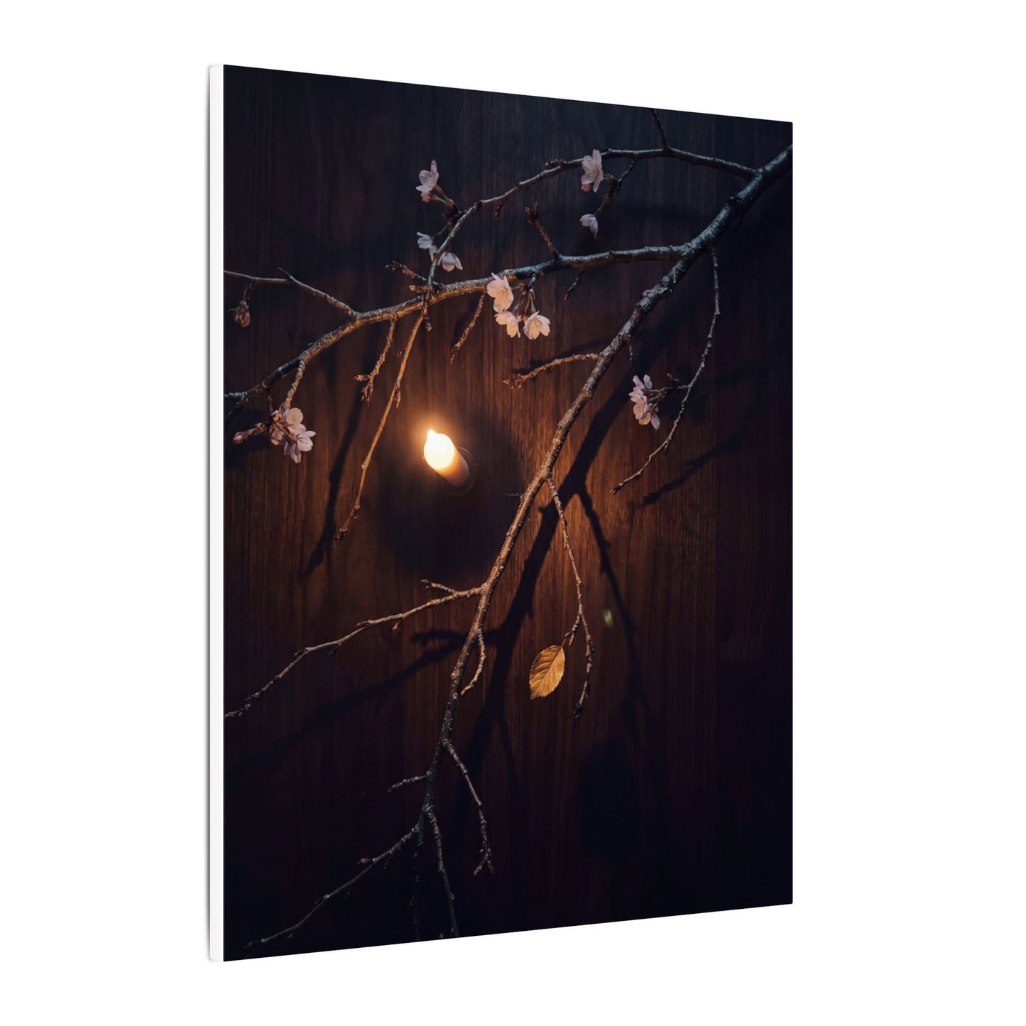 Datsuzoku Cherry Blossom Canvas Art - Dark Japandi Moody Minimal