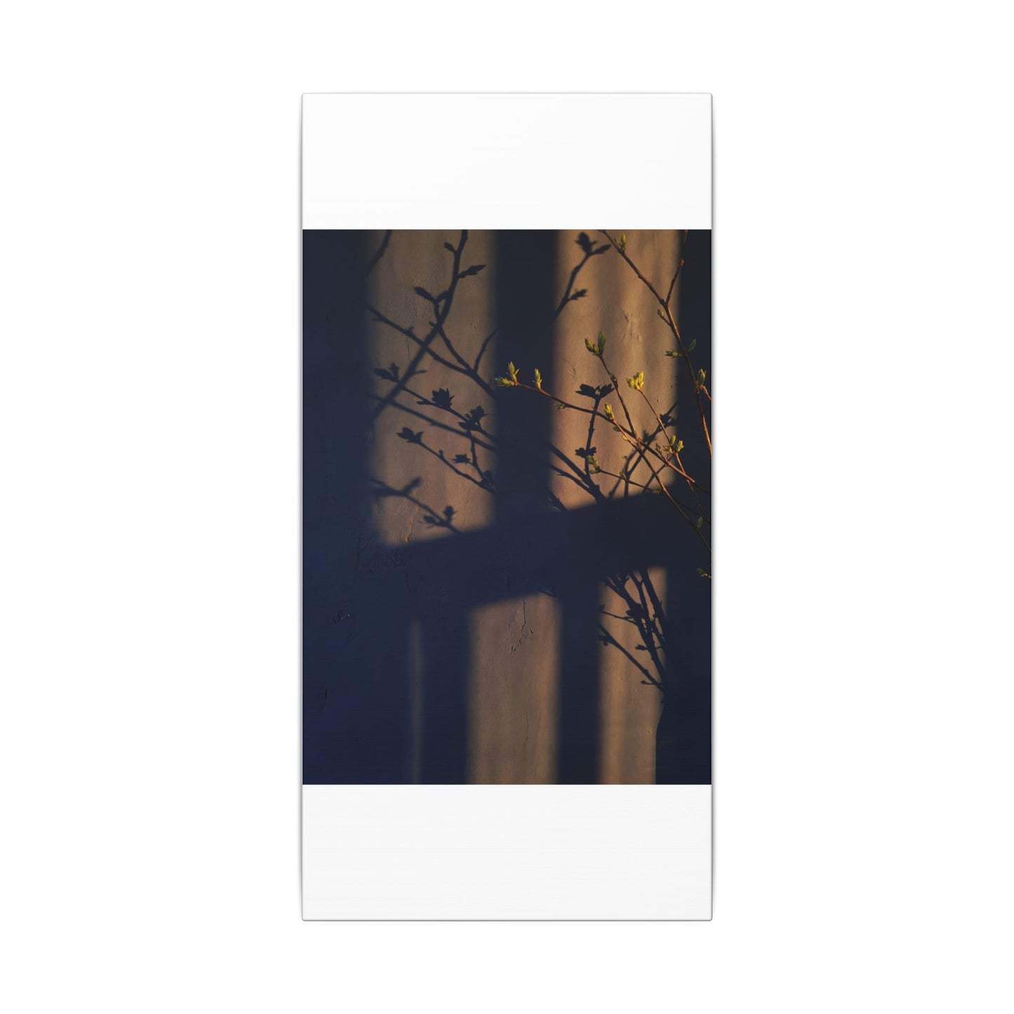Shadow Play Canvas Art | Spring Dark Japandi Shadow Zen Art