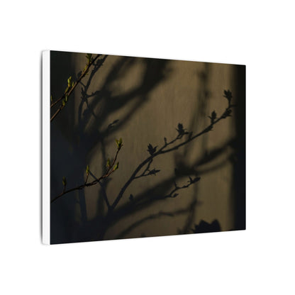 Seijaku Shadow Play Canvas Art - Dark Japandi Charcoal Ink