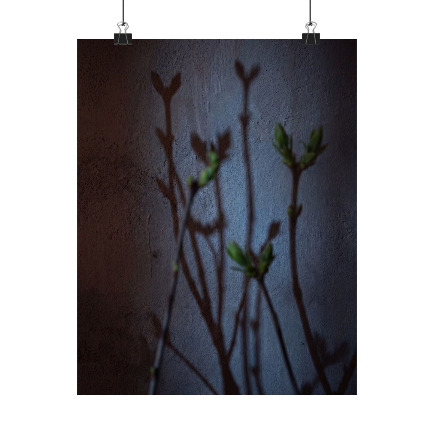 Spring Shadow Play Shadow Zen Wall Art Print | Moody Decor