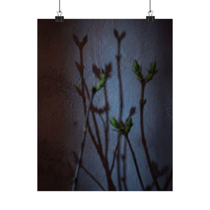 Spring Shadow Play Shadow Zen Wall Art Print | Moody Decor