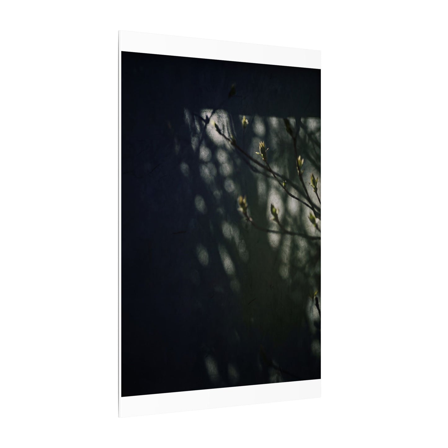 Dark Japandi Shoji Screen in Dappled | Moody Minimal Canvas Art