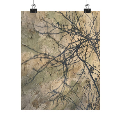 Shadow Play Winter Wall Art Print | Japandi Earthy Design Art Print