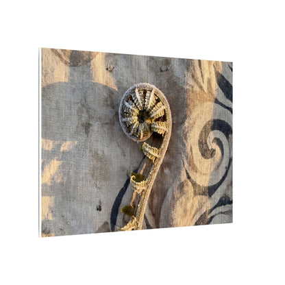 Fern Unfurling Canvas Art | Winter Japandi Japanese Pattern Art