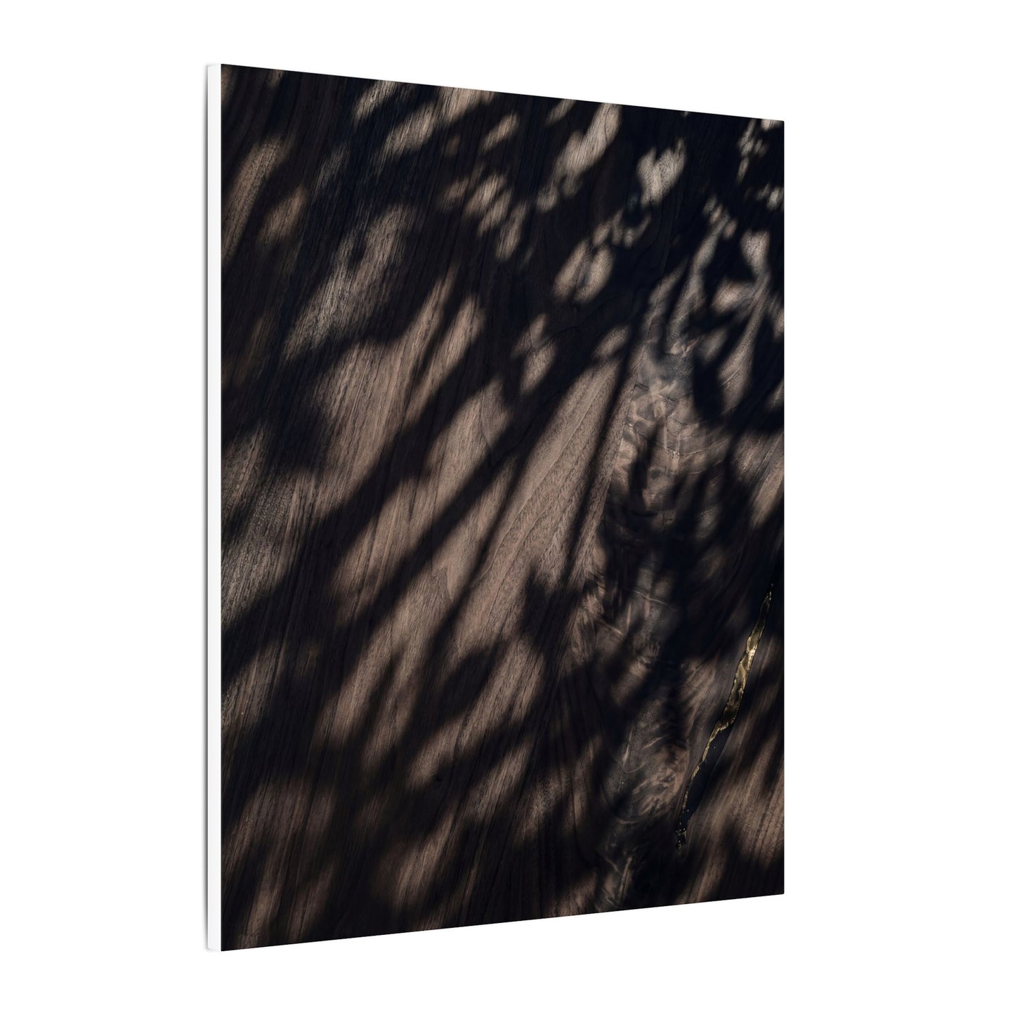 Shadow Play Summer Canvas Art | Dark Japandi Moody Design