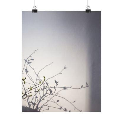 Japandi Shadow Play in Dawn | Japanese Pattern Wall Art Print