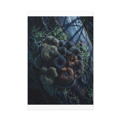 Wild Mushrooms Moody Minimal Canvas Art | Moody Dark Japandi Art