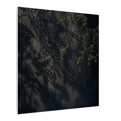 Overcast Shadow Play Canvas Art - Dark Japandi Seijaku