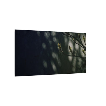 Dark Japandi Shoji Screen in Dappled | Moody Minimal Canvas Art