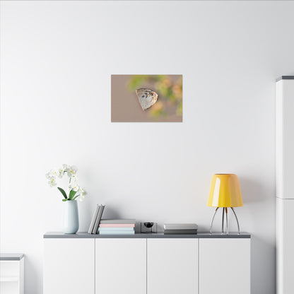 Ceramic Bowl Canvas Art | Spring Japandi Japanese Pattern Art