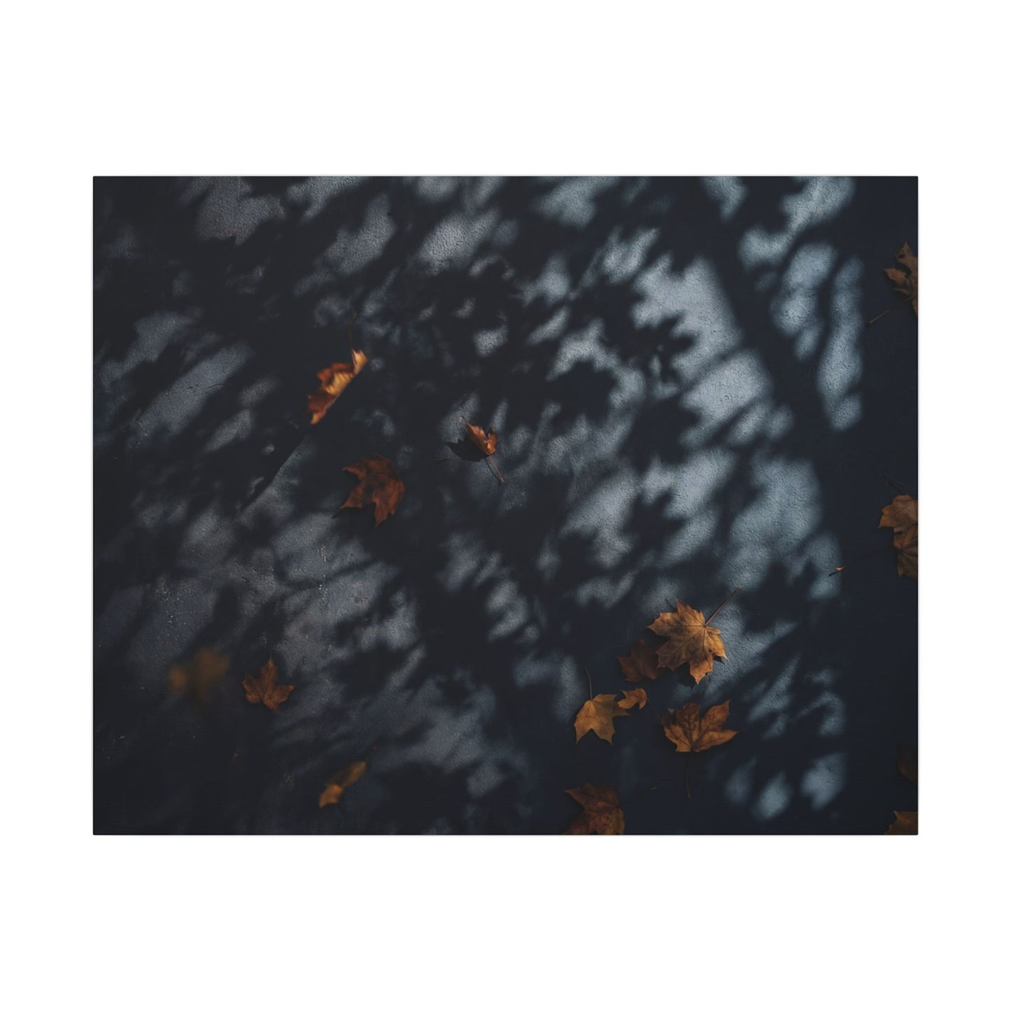 Autumn Shadow Play Shadow Zen Canvas Art | Atmospheric Decor