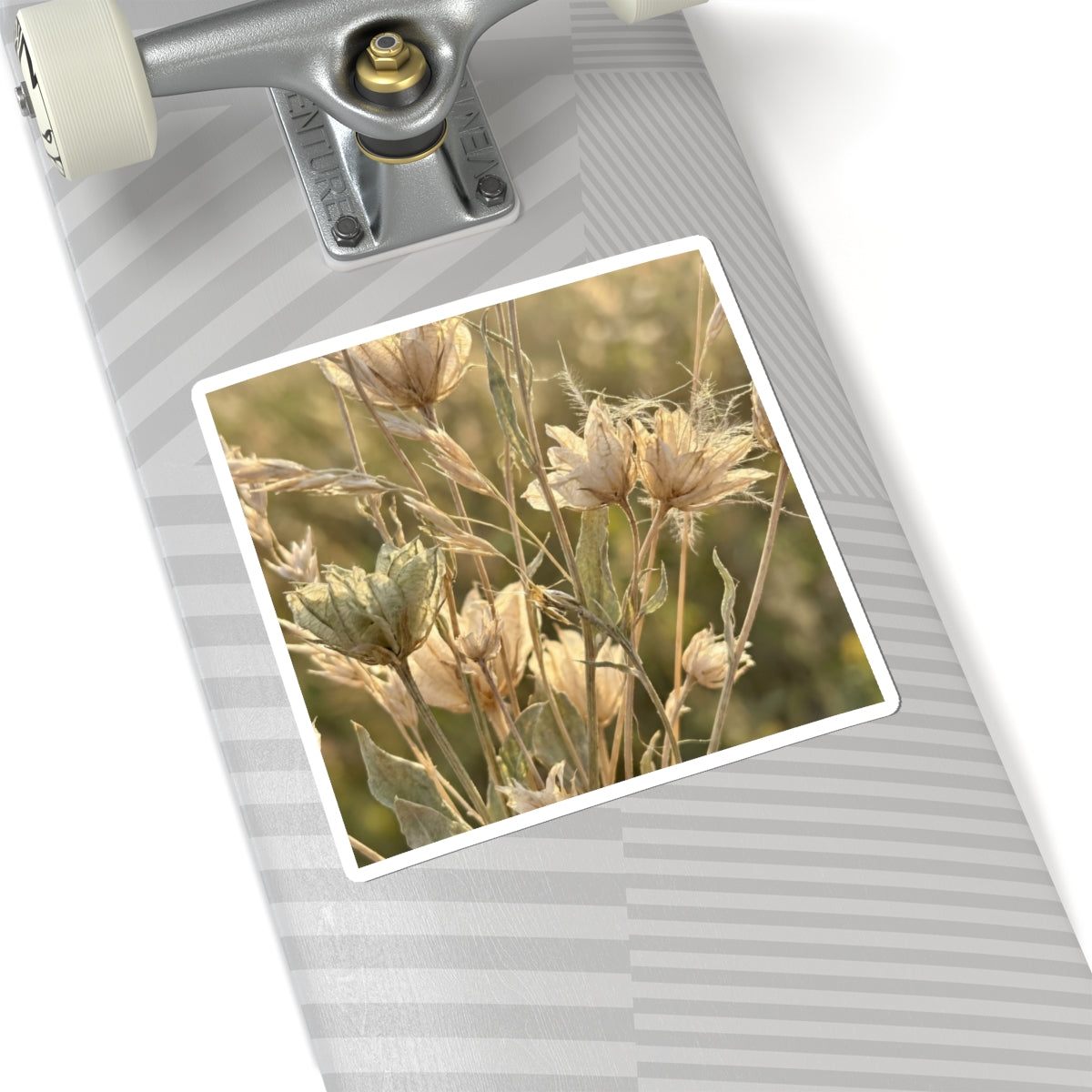 Dried Flowers Summer Sticker | Japandi Elegant Design Art Print