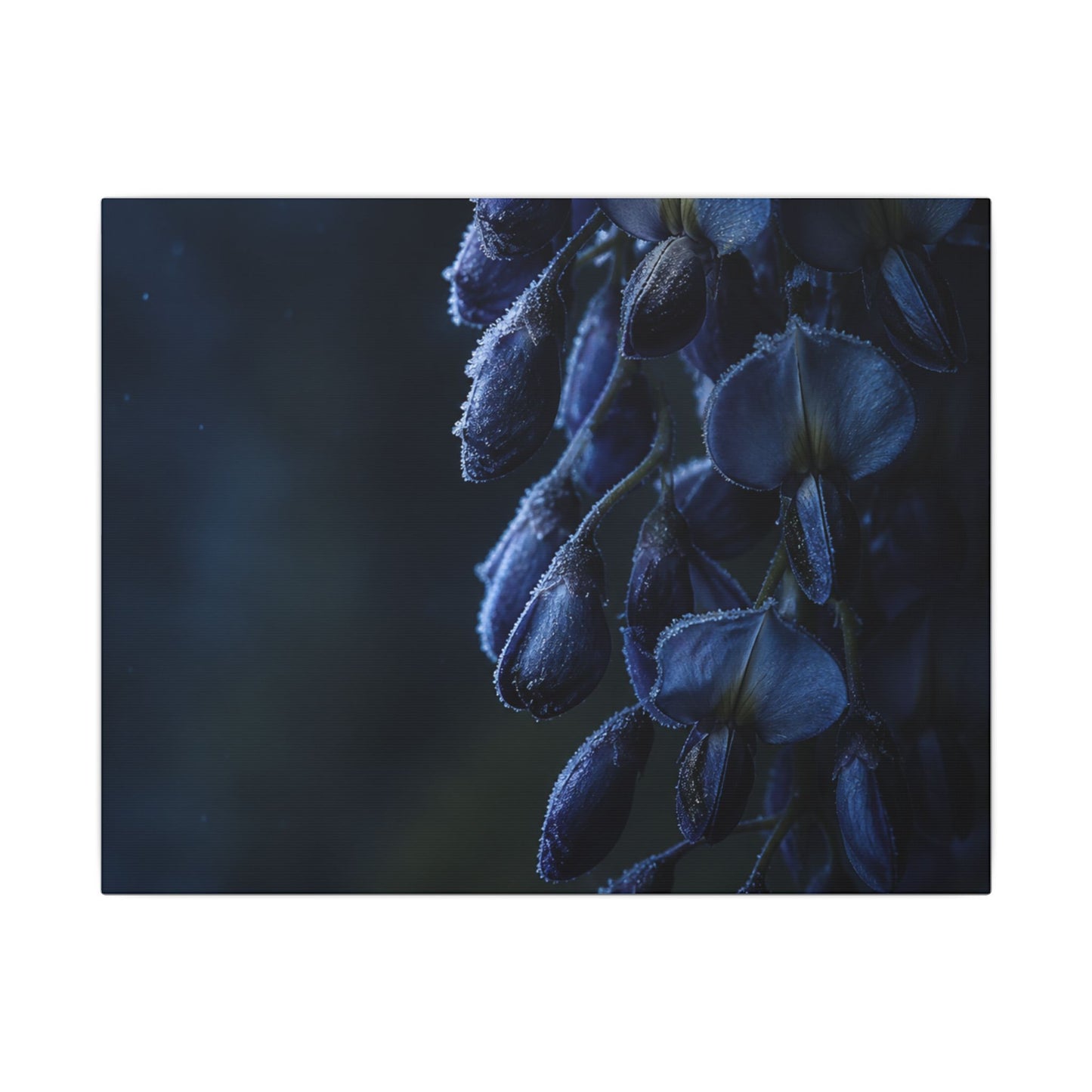 Winter Wisteria Shadow Zen Canvas Art | Atmospheric Decor