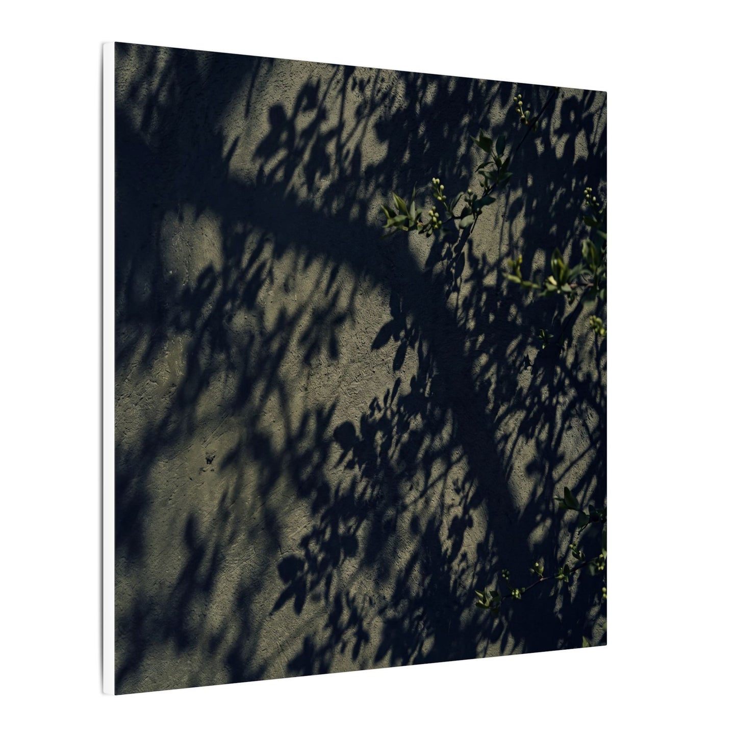 Atmospheric Shadow Play Canvas Art - Moody Minimal Dark Japandi