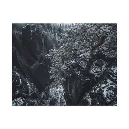 Dark Japandi Pine Tree in Dappled | Dark Texture Canvas Art