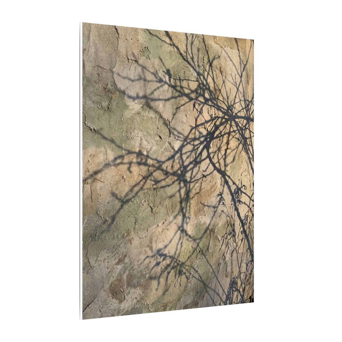 Japandi Shadow Play in Golden Hour | Texture Canvas Art
