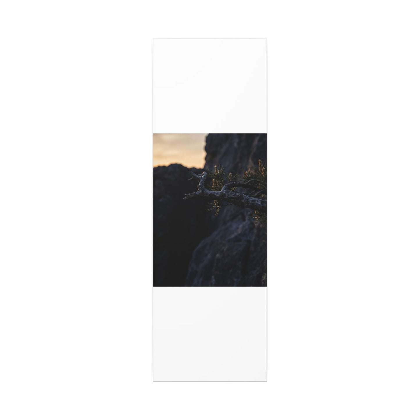 Pine Tree Moody Minimal Canvas Art | Sophisticated Dark Japandi Art