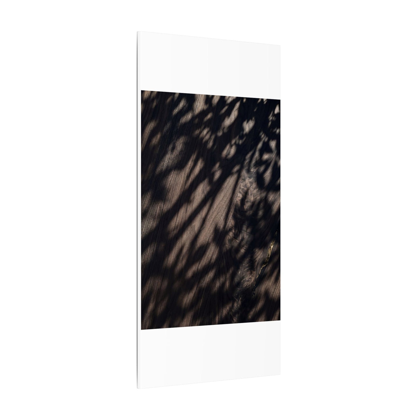 Shadow Play Summer Canvas Art | Dark Japandi Moody Design