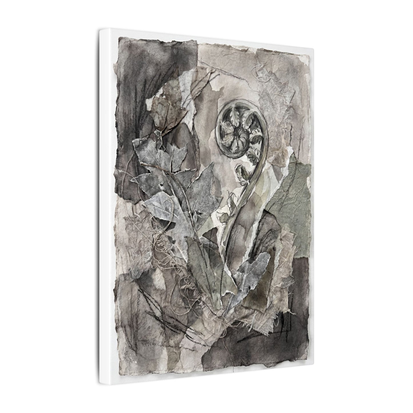 Japandi Fern Unfurling in Overcast | Texture Canvas Art