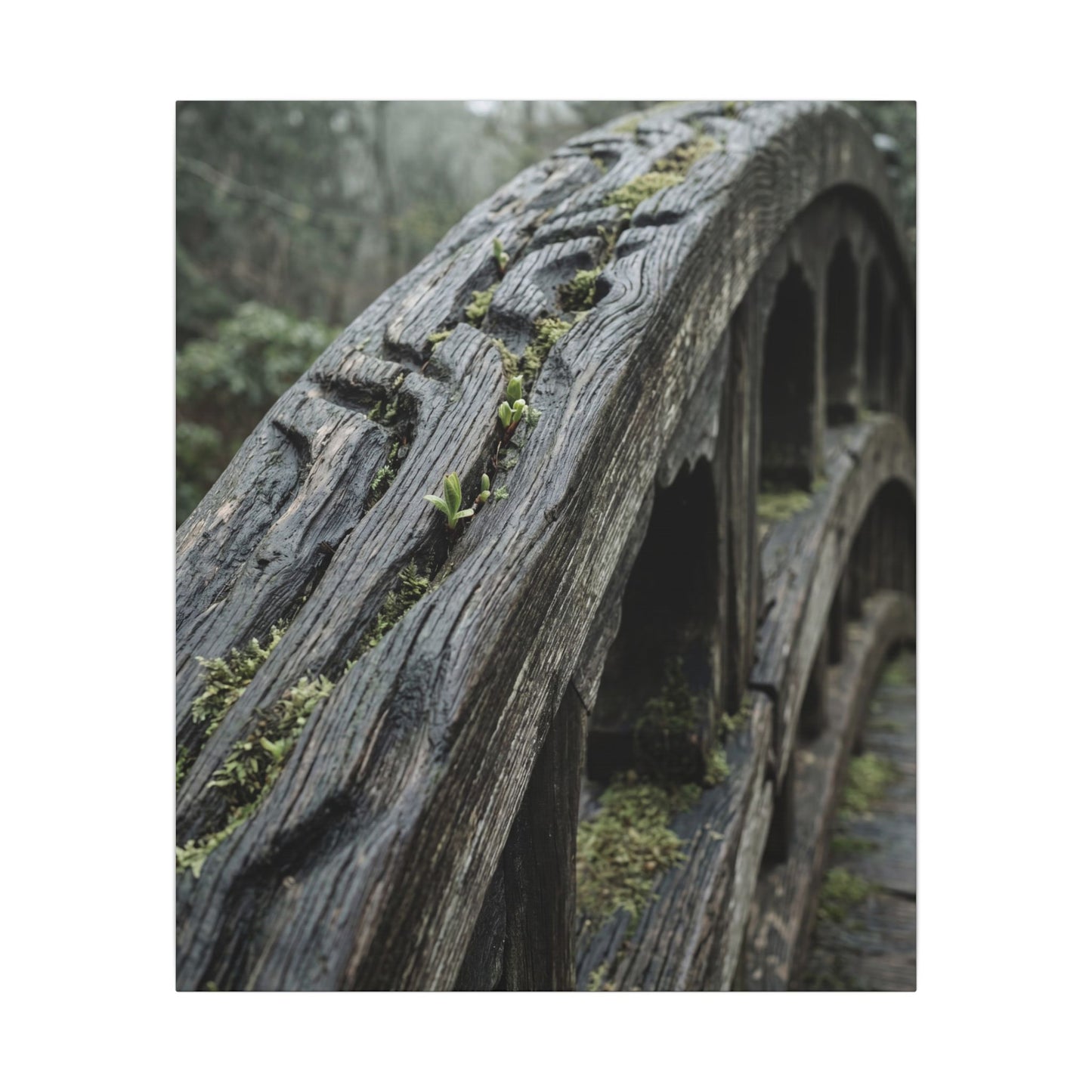 Overcast Wooden Bridge Canvas Art - Japandi Kanso