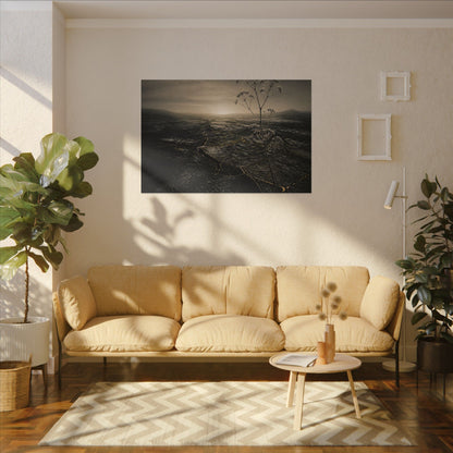 Dawn Cracked Earth Canvas Art - Dark Japandi Mono No Aware
