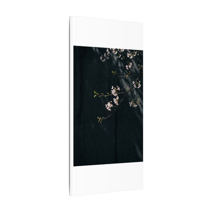 Cherry Blossom Spring Canvas Art | Dark Japandi Sophisticated Design