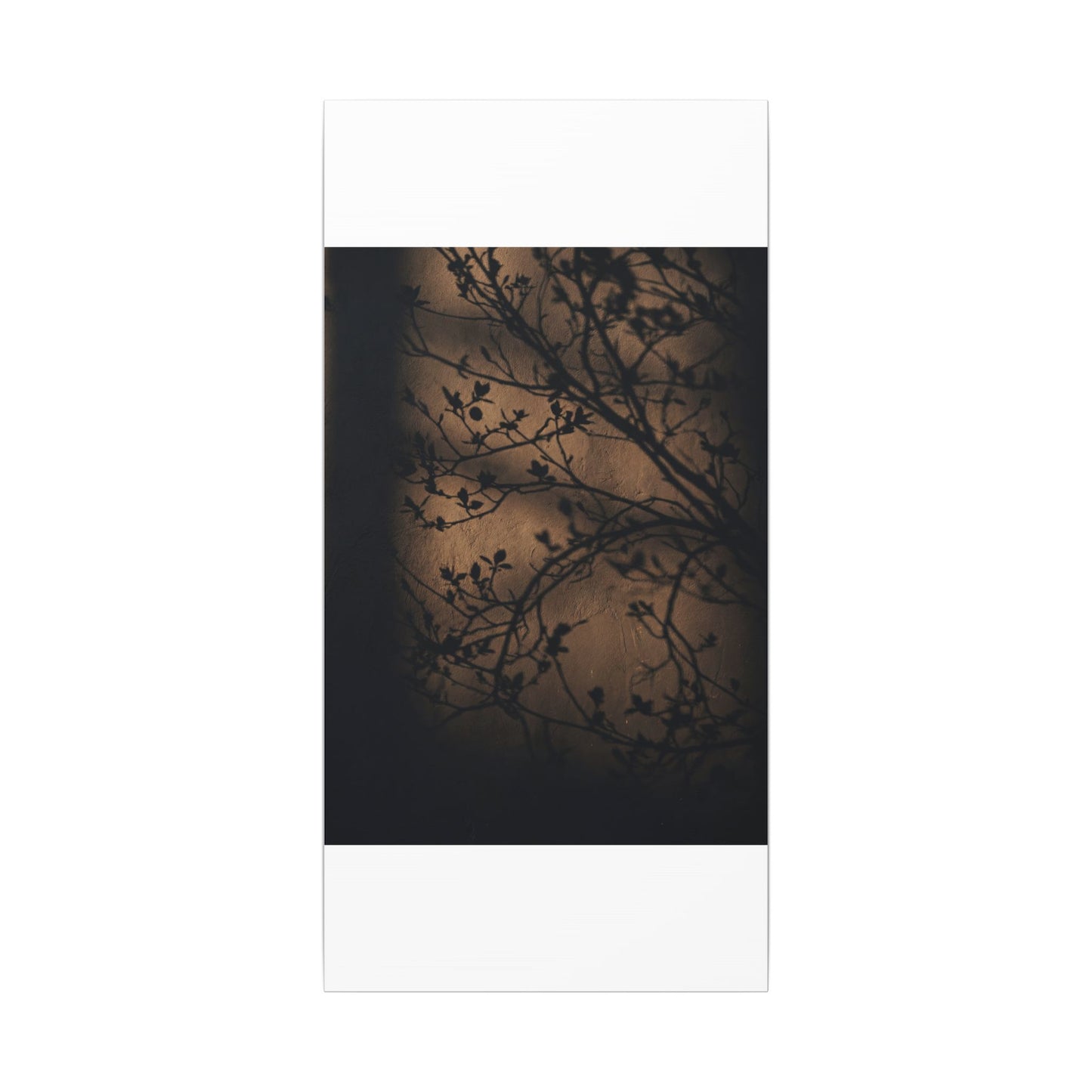 Dark Japandi Shadow Play in Golden Hour | Shadow Zen Canvas Art