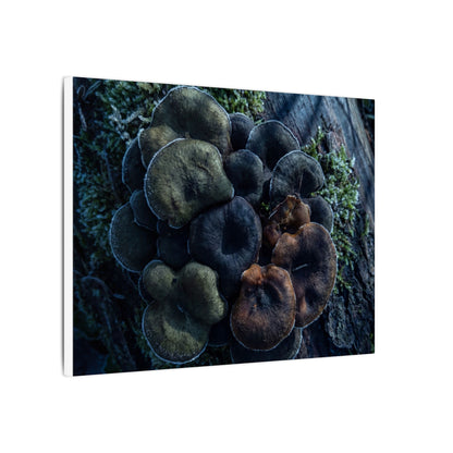 Wild Mushrooms Moody Minimal Canvas Art | Moody Dark Japandi Art