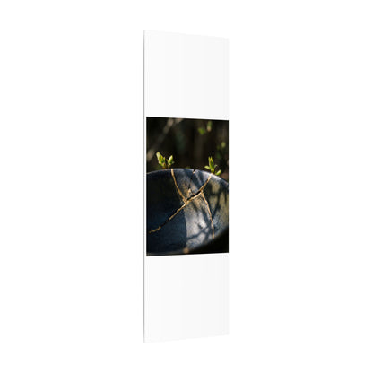 Seijaku Broken Pottery Canvas Art - Dark Japandi Shadow Zen
