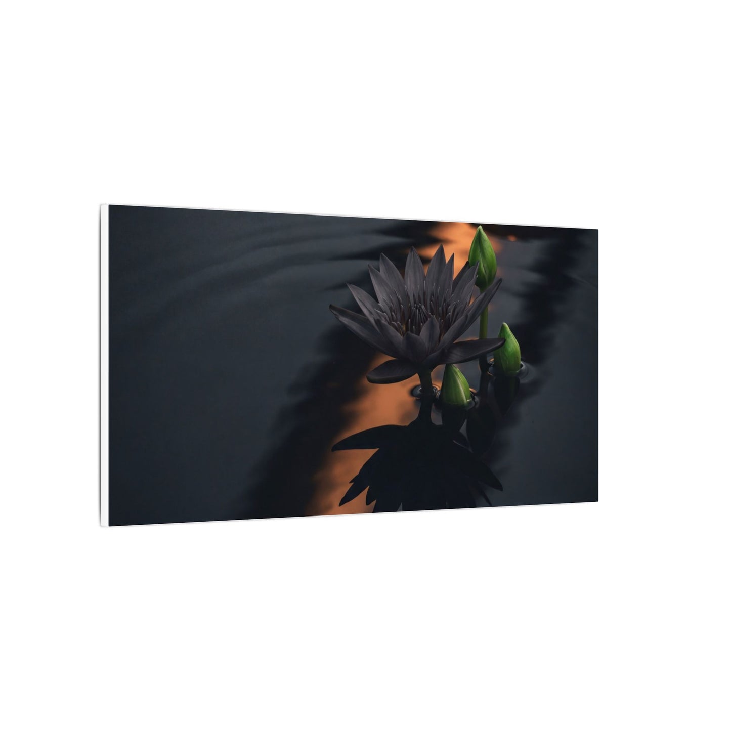Seijaku Lotus Flower Canvas Art - Dark Japandi Shadow Zen