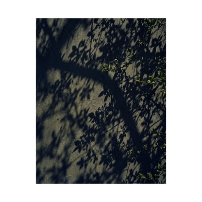 Shadow Play Moody Minimal Wall Art Print | Atmospheric Dark Japandi Art