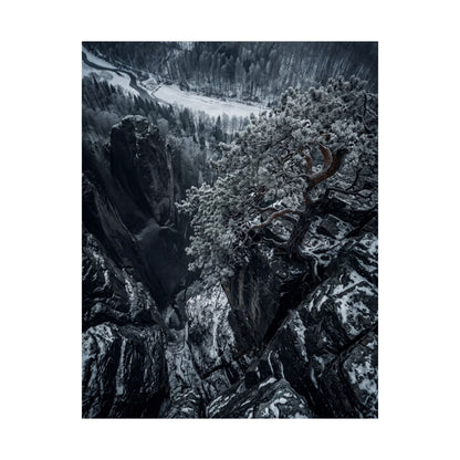 Pine Tree Wall Art Print | Winter Dark Japandi Dark Texture Art
