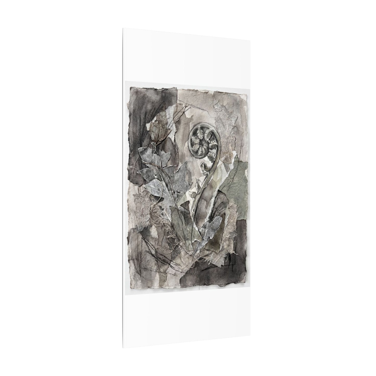 Japandi Fern Unfurling in Overcast | Texture Canvas Art
